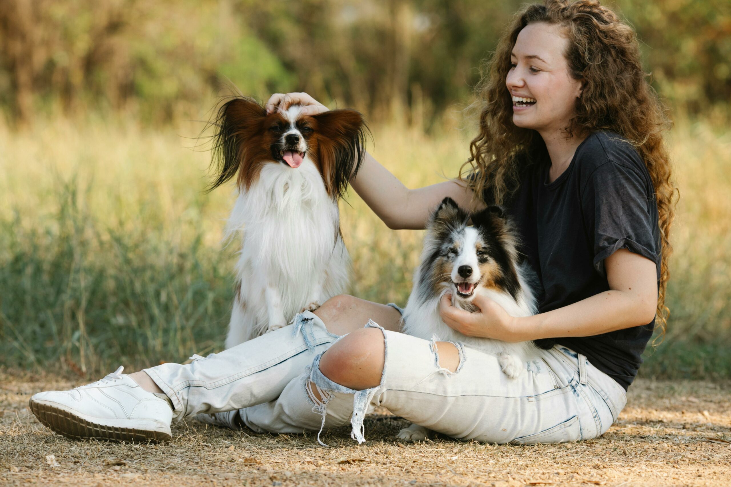 Activités amusantes à faire avec votre animal en intérieur