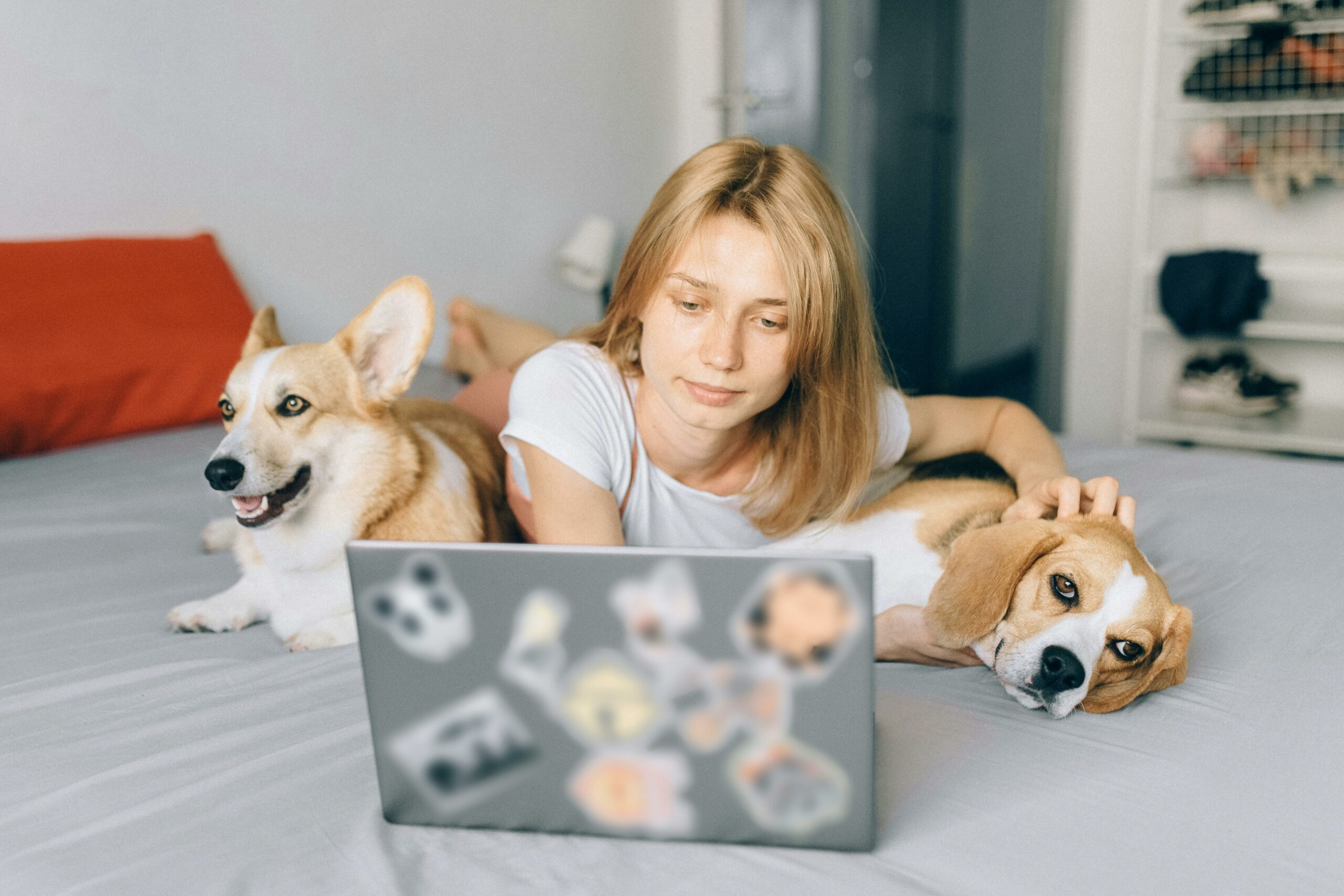 Les races de chiens les plus adaptées aux familles avec enfants